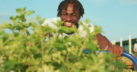 Handsome happy african flower seller carrying a tree with trolley in the plant store. Customer service and delivery in the flowers shop, farm owners has fun at workplace Slow motion - Powered by Adobe