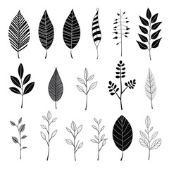 Sketches of simplicity: illustrating the beauty of black and white plant leafs - obrazy, fototapety, plakaty