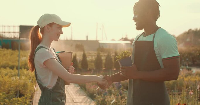 multiracial engineers garderners in uniform shaking hands after successful inspecting greenhouse organic farm business construction. Multi-sex farmers. happy Man and woman. Agronomy concept