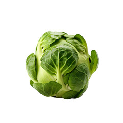 Obraz premium front view of Brussel sprouts vegetable isolated on transparent white background
