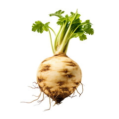 front view of Celeriac vegetable isolated on transparent white background