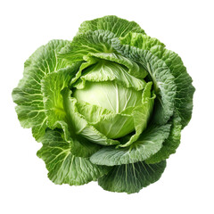 Obraz premium front view of cabbage vegetable isolated on transparent white background