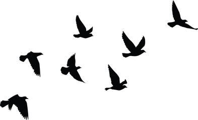 Flying birds silhouettes pattern wallpaper. PNG transparent. isolated bird flying. tattoo design. template for card, package, and wallpaper.