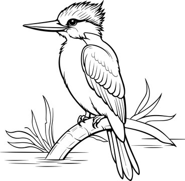 Hand drawn outline of kingfisher