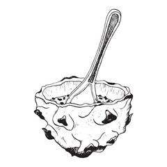 Vector dragon fruit half dessert with spoon black and white illustration. Tropical Asian pitaya clipart. Realistic line drawing for exotic flavours, summer designs