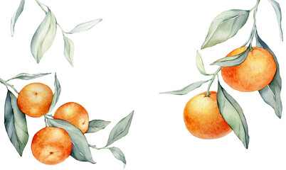 Frame with Orange Fruits. Hand drawn watercolor illustration of square Frame with citrus food and green leaves on white isolated background. Border with tropical mandarins for labels or sticker.