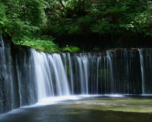 癒される美しいの滝