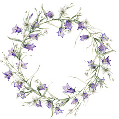 Wreath of blue, violet flower meadow. Close-up of blue spreading bellflower flowers. Little bell, bluebell, rapunzel, harebell. Watercolor hand painting illustration on isolate. , circlet of flowers