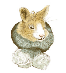 さむがりウサギ　カラー