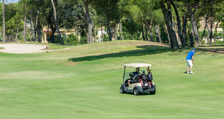 Golfers moving in a vehicle