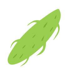 Plankton , Pytoplankton