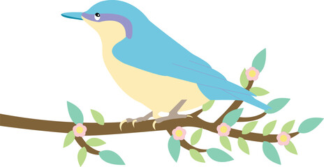 bird on branch vector image or clipart