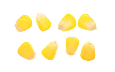 Fresh corn seeds on white background