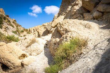 Fototapeta premium ein gedi, oasis, dead sea, waterfalls, middle east, israel, beach, salt