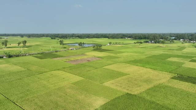 Aerial view of system in the field
