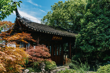 Chinese garden in the autumn