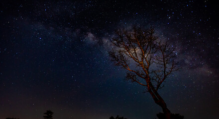 Panorama blue night sky milky way and star on dark background.Universe filled with stars, nebula and galaxy with noise and grain.Photo by long exposure and select white balance.Moon crescent.