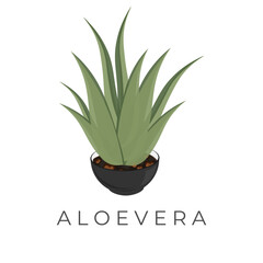 Simple Vector Illustration Logo of Aloe Vera In A Pot