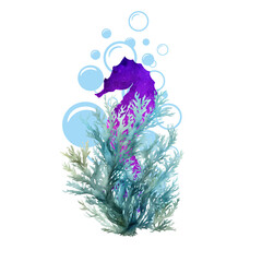 set of watercolor illustrations in a marine style on a white background, with star marine life, seahorse, seaweed hand painted