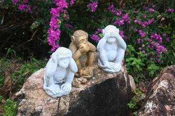 Three monkeys - see, hear, speak no evil