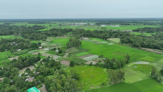 view of fields