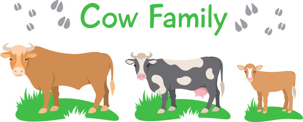 Cow, bull and calf standing on grass. Flat vector cartoon illustration. Isolated on white. Domestic farm cattle animals family, mature male and female with offspring. Full length, side view © vectorikart