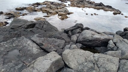 海
