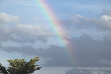 Vibrant Rainbow After the Rain