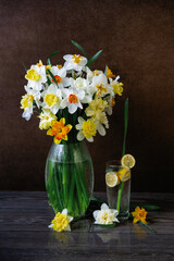 A bouquet of yellow and white daffodils of different varieties in a glass vase and water with lemon in a transparent glass. Daffodils on a dark background.