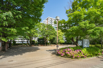 Fototapeta premium 東京都西東京市柳沢、しじゅうから公園
