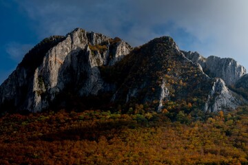 Yellow forest with a mountain in the background on a sunny autumn day