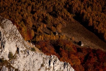 Drone view of the fall scene of the Apuseni mountains full oftrees in the daytime in Romania