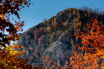 Drone view of the fall scene of the Apuseni mountains full of trees in the daytime in Romania