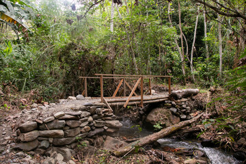 Hiking through the Peruvian jungle near the Vilcanota river in the town of Santa Rosa.