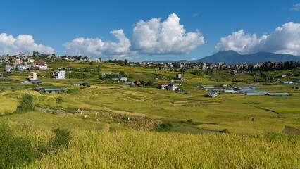 Obraz premium Scenic view of rice field terraces ready for harvest in Kokana, Nepal