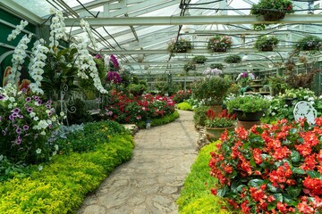 Scenic view of colorful flowers growing in a greenhouse