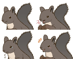 ニホンリスの喜怒哀楽セット