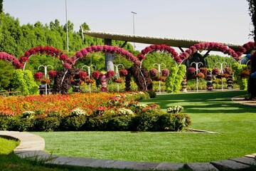 Obraz premium View of vibrant flowers in a green park on a sunny day