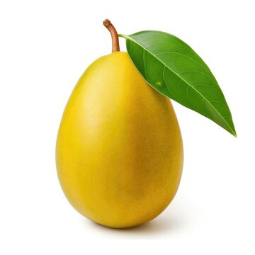 Mango isolated on white (generative AI)