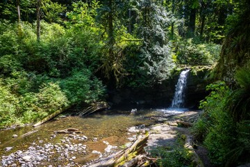 Obraz premium Stocking Creek Falls Dropping Into The Creek
