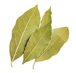 Dried bay leaf, transparent background