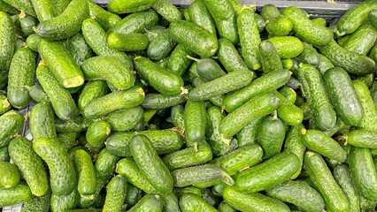ripe green cucumbers on the counter