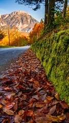 Mossy wall during fall in Northern Italy with the Dolomite Mountains in the background.