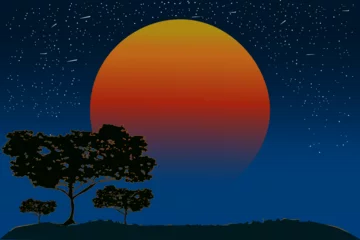 Draagtas Africa or Australia wild landscape with acacia trees, orange sun and evening sky. Night savanna banner with copy space. Scenery with purple sundown or sunrise. Background of twilight nature. Vector © kajani