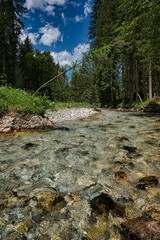 River in the mountains in Radstatter Tauern in the Kleinarl Valley