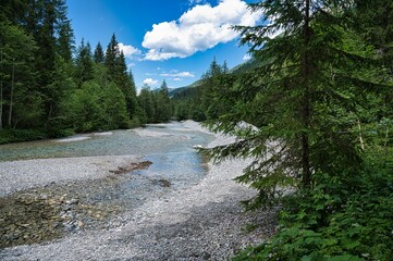 Fototapeta na wymiar Landscape view of small river flowing in the green mountain forest of Radstadt Tauern range, Austria