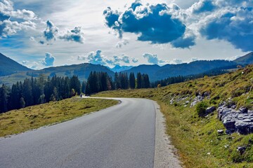 Scenic shot of a road surrounded by trees and fields in Salzkammergut, Austria