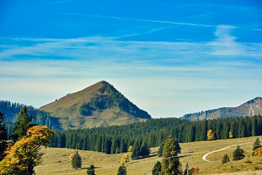 Scenic shot of trees and greenery in a field against a huge hill in Salzkammergut, Austria