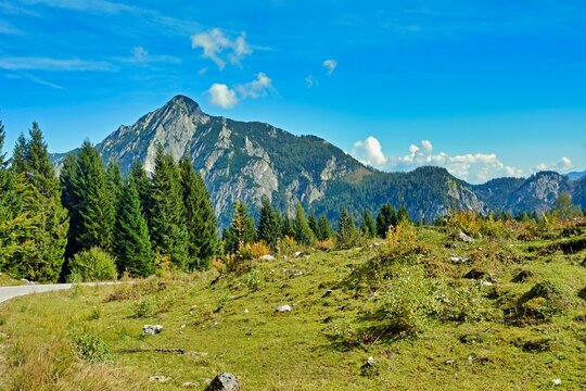 Scenic shot of trees in a green field against a huge hill in Salzkammergut, Austria