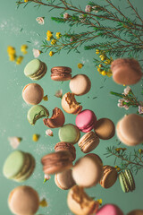 levitating flying macaroons with spring flowers composition